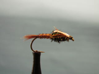 Flash Pheasant Tail (10-20)